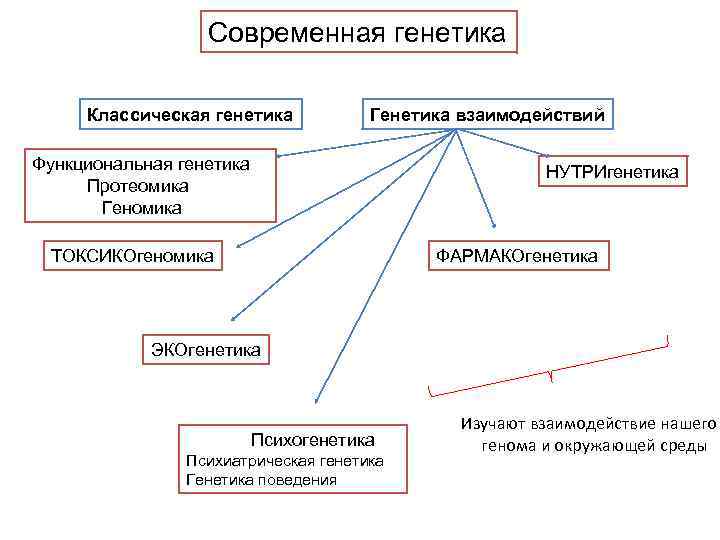 Фармакогенетика и фармакогеномика презентация