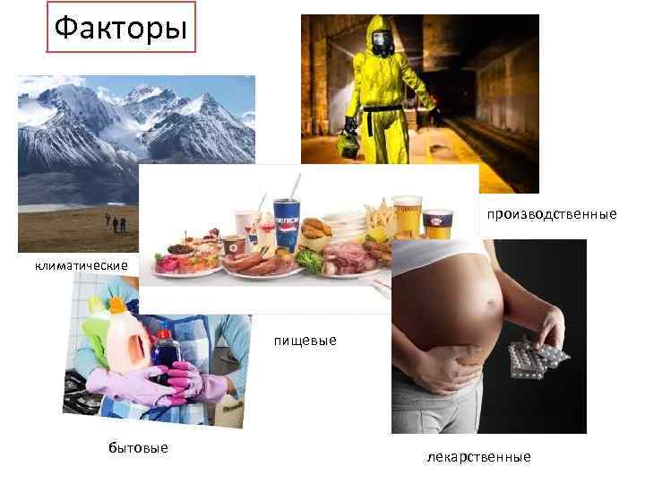 Факторы производственные климатические пищевые бытовые лекарственные 