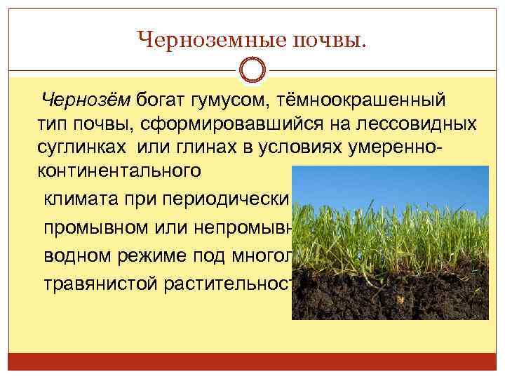 Черноземные почвы. Чернозём богат гумусом, тёмноокрашенный тип почвы, сформировавшийся на лессовидных суглинках или глинах