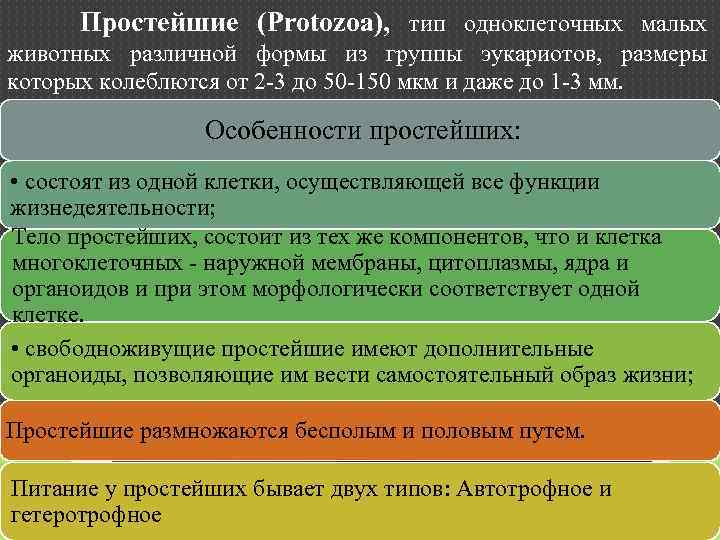 Простейшие (Protozoa), тип одноклеточных малых животных различной формы из группы эукариотов, размеры которых колеблются