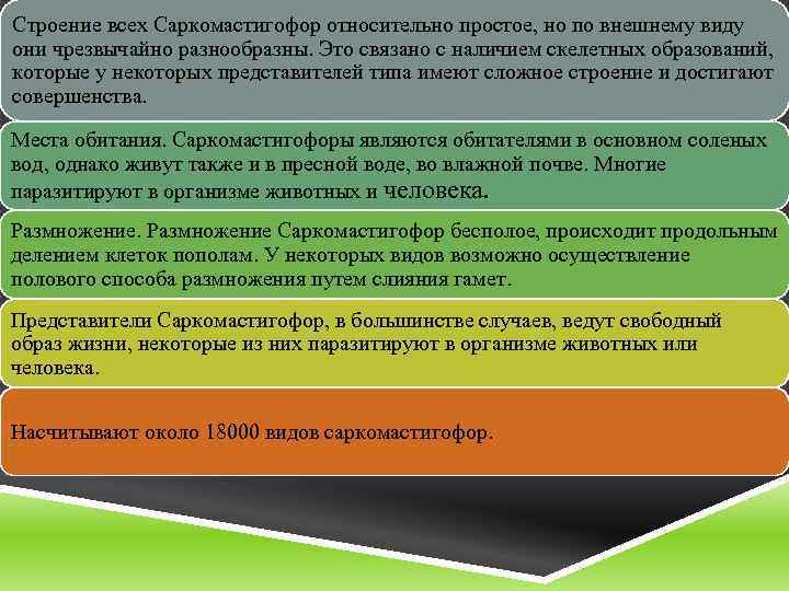 Строение всех Саркомастигофор относительно простое, но по внешнему виду они чрезвычайно разнообразны. Это связано