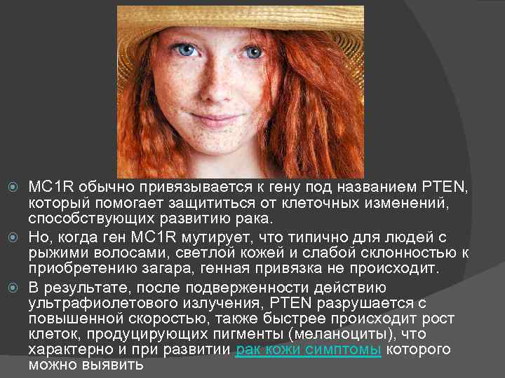 MC 1 R обычно привязывается к гену под названием PTEN, который помогает защититься от