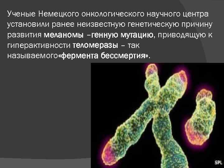 Ученые Немецкого онкологического научного центра установили ранее неизвестную генетическую причину развития меланомы –генную мутацию,