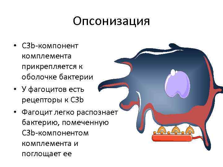 Компонент b