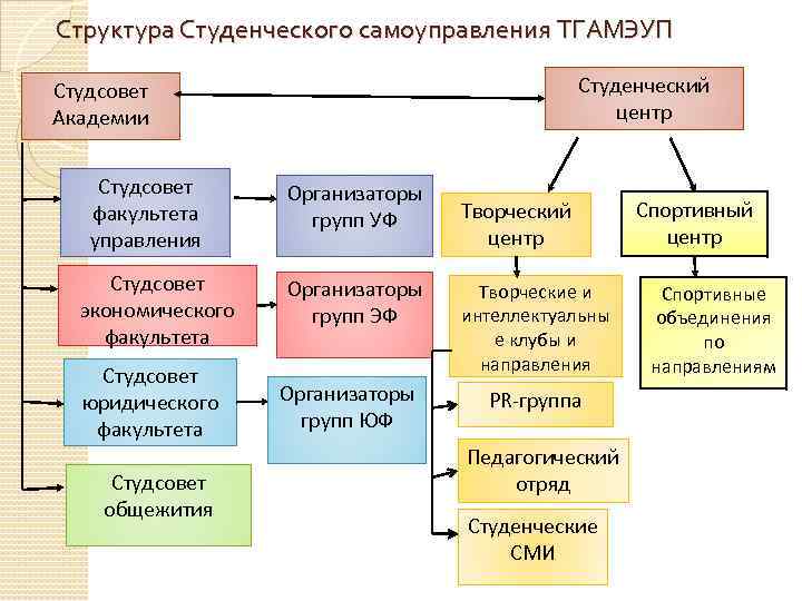 Структура студента