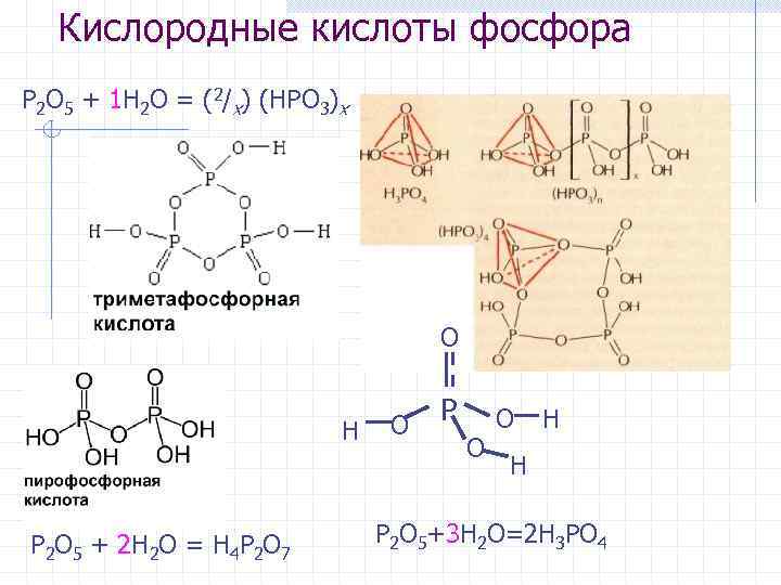 Кислородные кислоты фосфора P 2 O 5 + 1 H 2 O = (2/x)