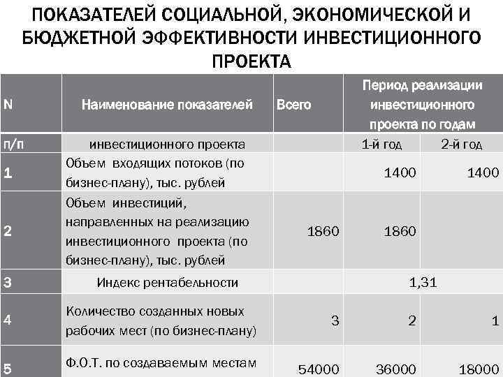 Социальная эффективность инвестиционного проекта