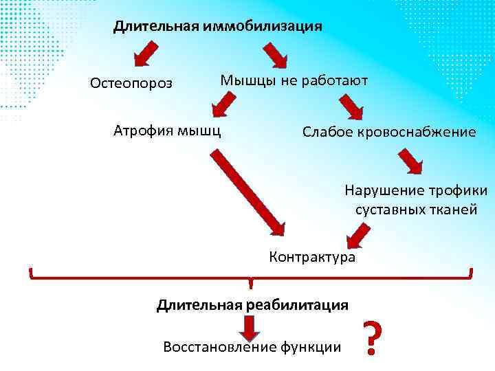 Длительная иммобилизация Остеопороз Мышцы не работают Атрофия мышц Слабое кровоснабжение Нарушение трофики суставных тканей