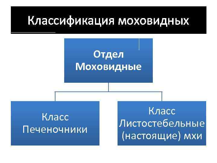 Классификация моховидных Отдел Моховидные Класс Печеночники Класс Листостебельные (настоящие) мхи 