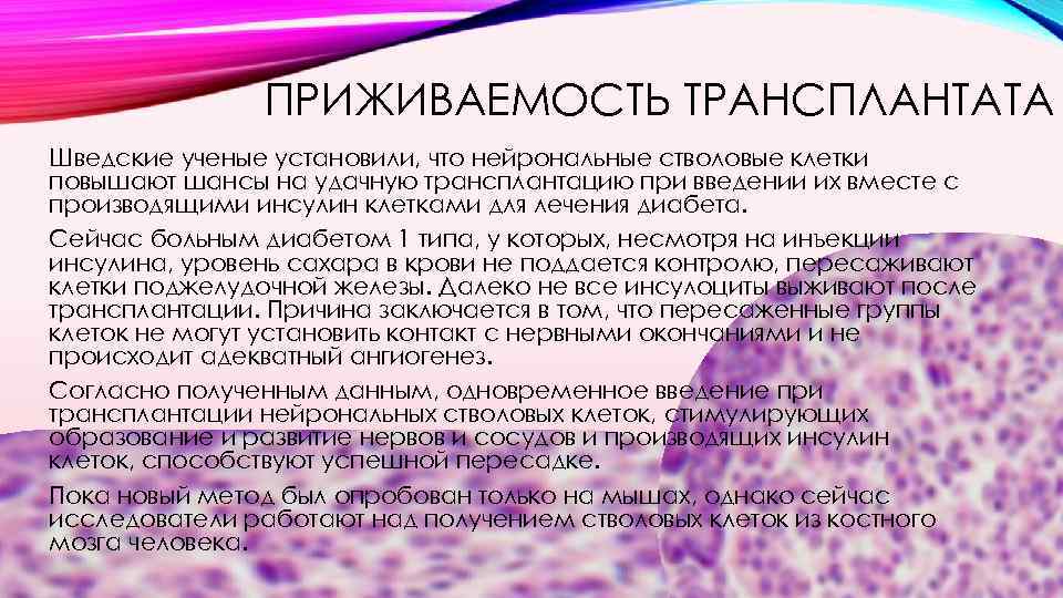 ПРИЖИВАЕМОСТЬ ТРАНСПЛАНТАТА Шведские ученые установили, что нейрональные стволовые клетки повышают шансы на удачную трансплантацию