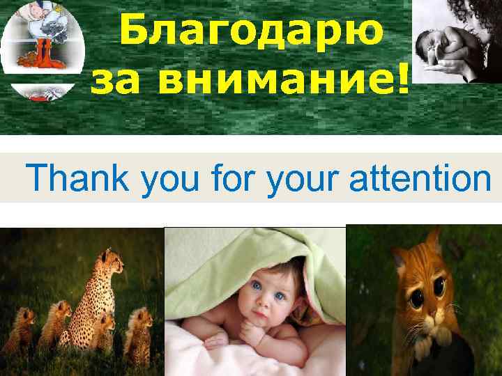 Благодарю за внимание! Thank you for your attention 