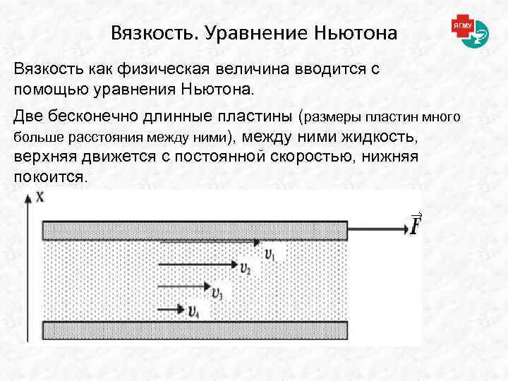 Вязкость. Уравнение Ньютона Вязкость как физическая величина вводится с помощью уравнения Ньютона. Две бесконечно