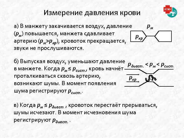 Измерение давления крови pм а) В манжету закачивается воздух, давление (pм) повышается, манжета сдавливает