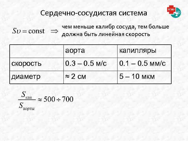 Сердечно-сосудистая система чем меньше калибр сосуда, тем больше должна быть линейная скорость аорта капилляры