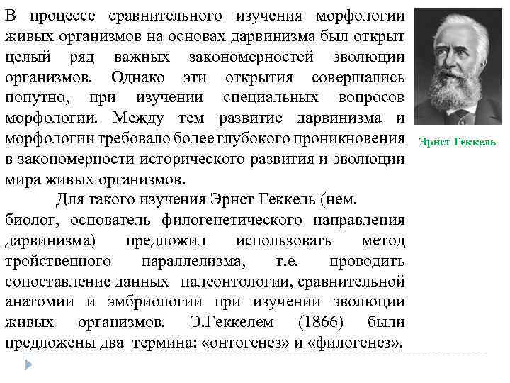 В процессе сравнительного изучения морфологии живых организмов на основах дарвинизма был открыт целый ряд