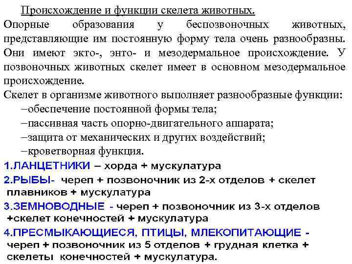 Происхождение и функции скелета животных. Опорные образования у беспозвоночных животных, представляющие им постоянную форму