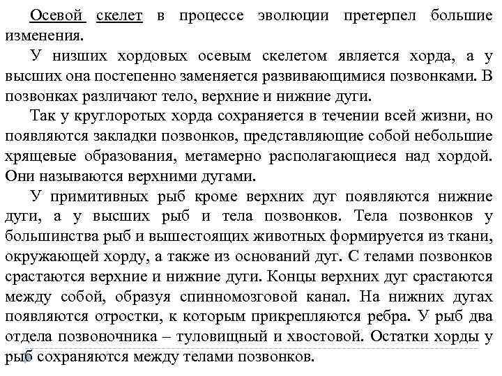 Осевой скелет в процессе эволюции претерпел большие изменения. У низших хордовых осевым скелетом является