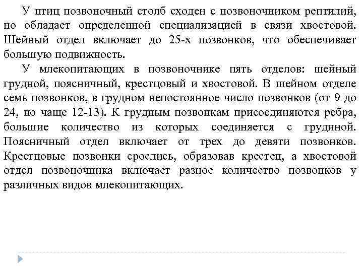 У птиц позвоночный столб сходен с позвоночником рептилий, но обладает определенной специализацией в связи