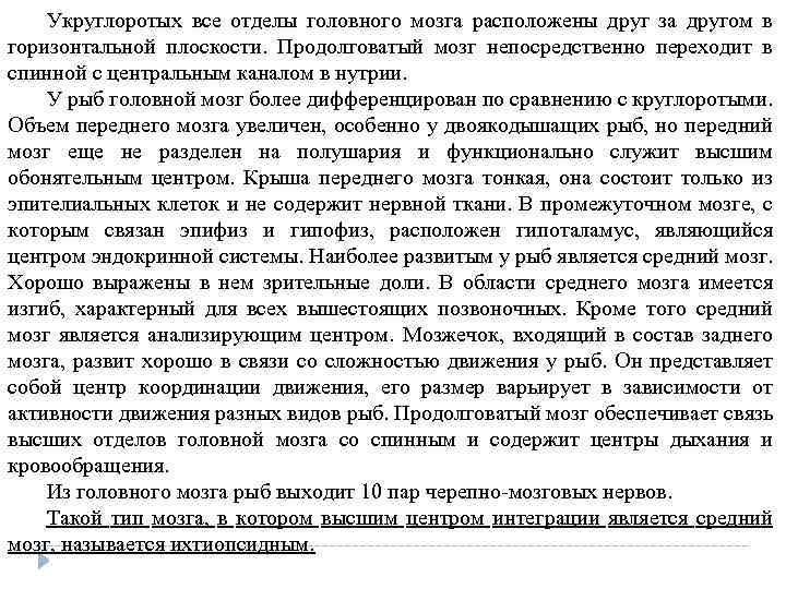 Укруглоротых все отделы головного мозга расположены друг за другом в горизонтальной плоскости. Продолговатый мозг