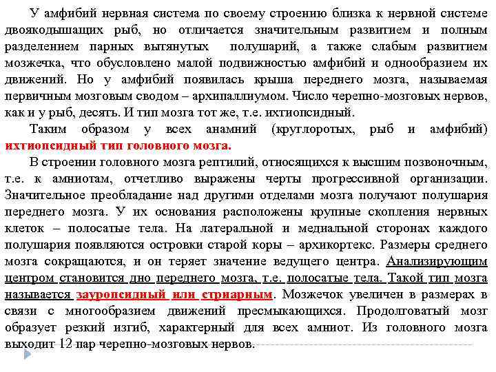 У амфибий нервная система по своему строению близка к нервной системе двоякодышащих рыб, но