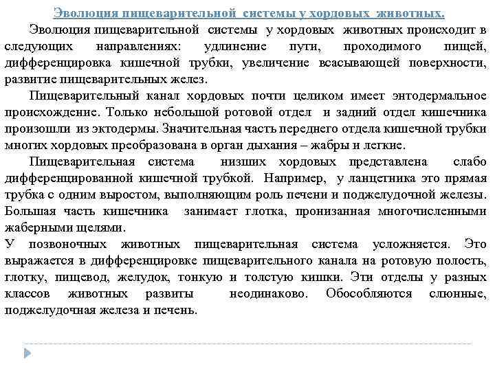  Эволюция пищеварительной системы у хордовых животных происходит в следующих направлениях: удлинение пути, проходимого