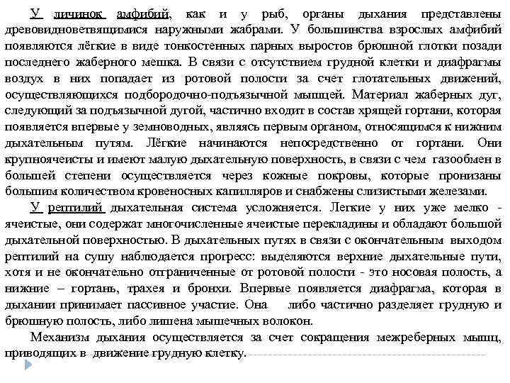 У личинок амфибий, как и у рыб, органы дыхания представлены древовидноветвящимися наружными жабрами. У