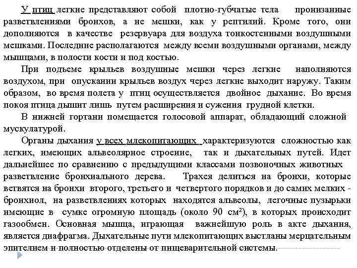 У птиц легкие представляют собой плотно губчатые тела пронизанные разветвлениями бронхов, а не мешки,