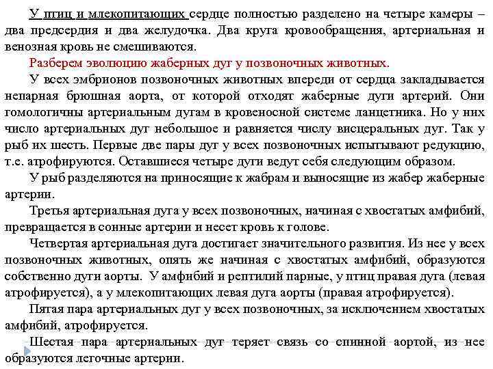 У птиц и млекопитающих сердце полностью разделено на четыре камеры – два предсердия и