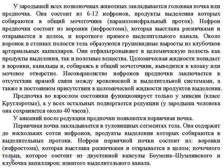 У зародышей всех позвоночных животных закладывается головная почка или предпочка. Она состоит из 6