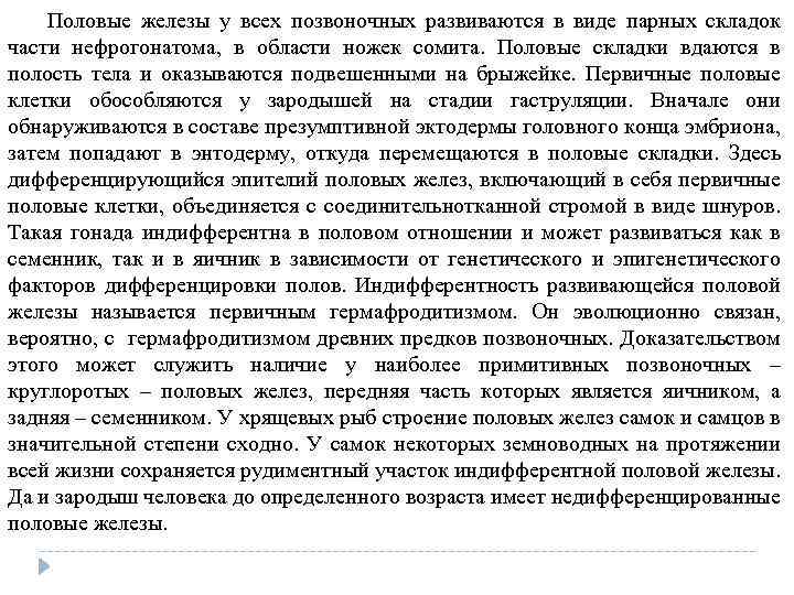 Половые железы у всех позвоночных развиваются в виде парных складок части нефрогонатома, в области