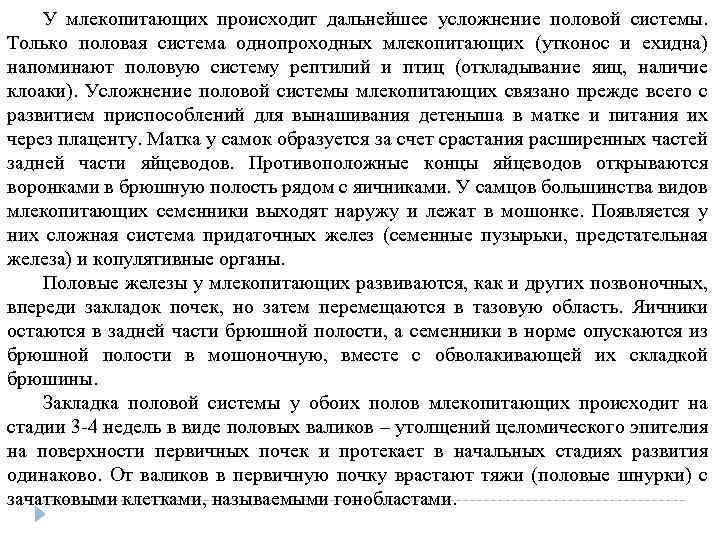 У млекопитающих происходит дальнейшее усложнение половой системы. Только половая система однопроходных млекопитающих (утконос и