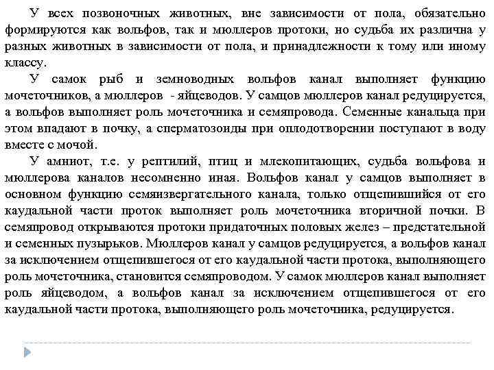 У всех позвоночных животных, вне зависимости от пола, обязательно формируются как вольфов, так и