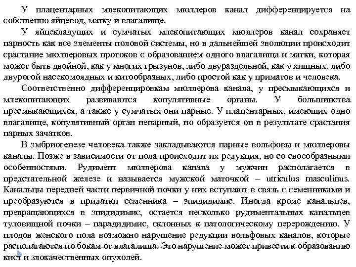 У плацентарных млекопитающих мюллеров канал дифференцируется на собственно яйцевод, матку и влагалище. У яйцекладущих