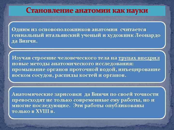 Каким образом проходит. Становление научной анатомии. Становление научной анатомии в Европе. Этапы становления анатомии как науки. Становление анатомии как науки в Западной Европе.