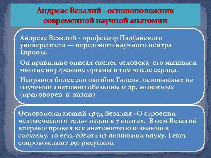 Медицина в западной европе в эпоху средневековья. Медицина Западной Европы в период позднего средневековья. Медицина Западной Европы в период Возрождения. Основоположник современной научной анатомии. Становление научной анатомии в Западной Европе.