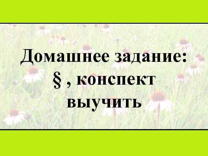 Домашнее задание: § , конспект выучить 