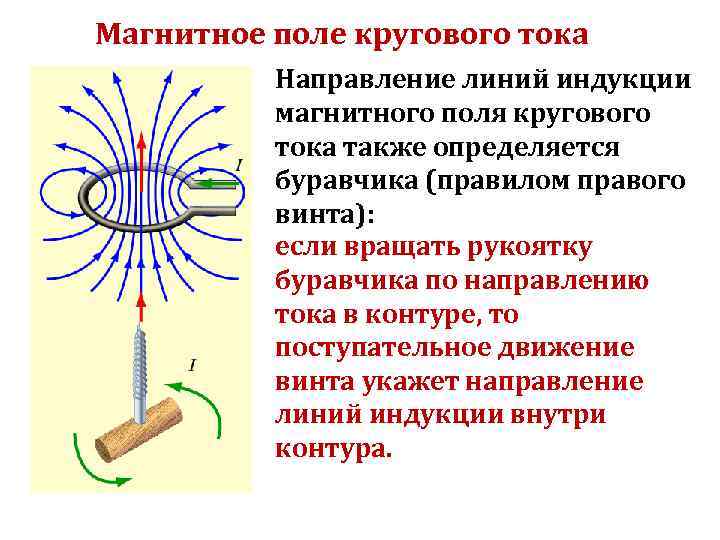 Магнитное поле кругового тока Направление линий индукции магнитного поля кругового тока также определяется буравчика