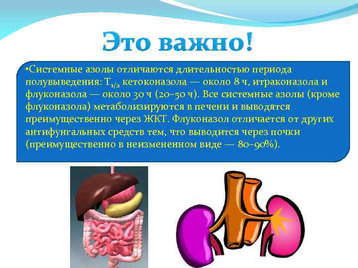 Это важно! • Системные азолы отличаются длительностью периода полувыведения: T 1/2 кетоконазола — около