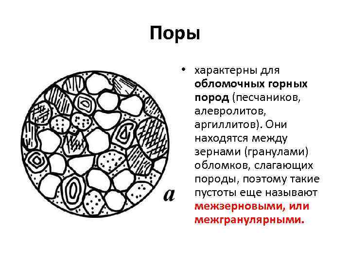 Поры • характерны для обломочных горных пород (песчаников, алевролитов, аргиллитов). Они находятся между зернами