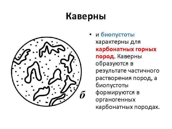 Каверны • и биопустоты характерны для карбонатных горных пород. Каверны образуются в результате частичного