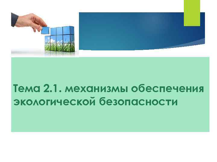 Тема 2. 1. механизмы обеспечения экологической безопасности 