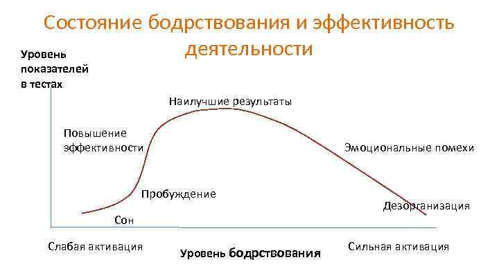 Бодрствование состояние активности