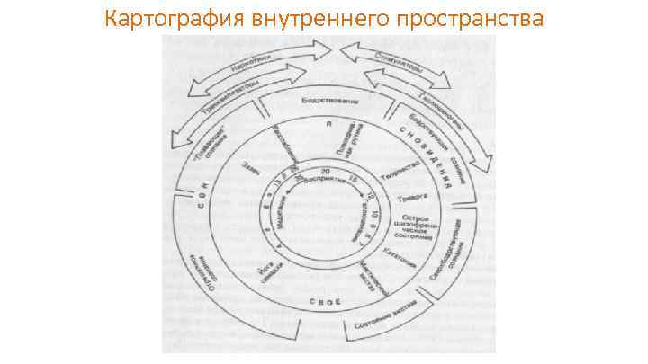 Картография внутреннего пространства 