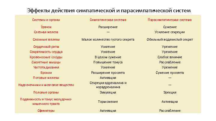  Эффекты действия симпатической и парасимпатической систем Системы и органы Симпатическая система Парасимпатическая система