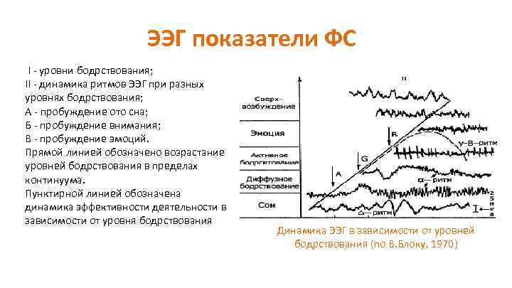 ЭЭГ показатели ФС I - уровни бодрствования; II - динамика ритмов ЭЭГ при разных