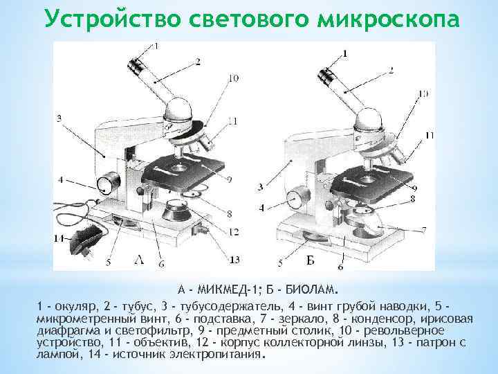 Устройство светового микроскопа А - МИКМЕД-1; Б - БИОЛАМ. 1 - окуляр, 2 -
