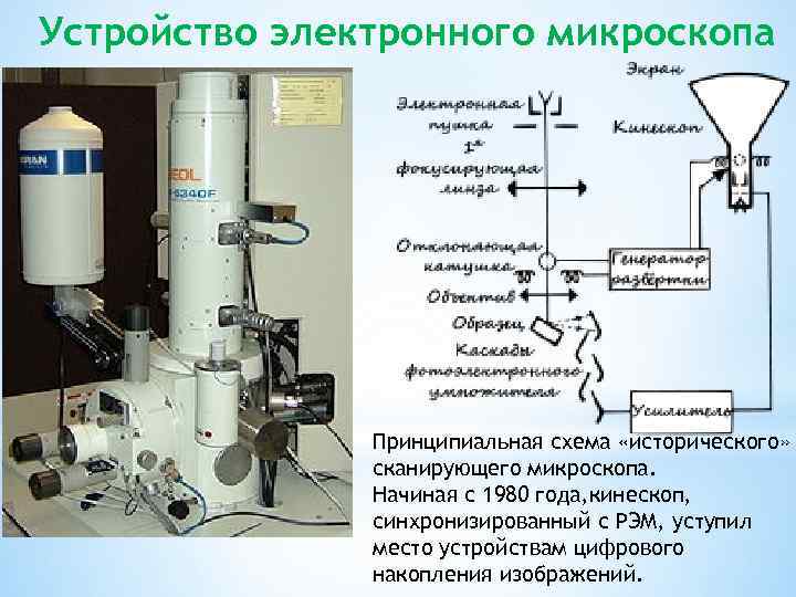 Строение электронного микроскопа с подписями как в впр по биологии