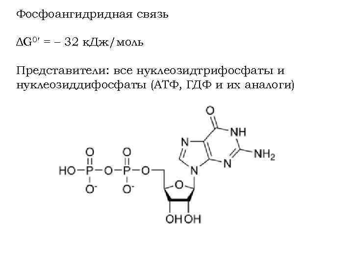 Фосфоангидридная связь ΔG 0′ = – 32 к. Дж/моль Представители: все нуклеозидтрифосфаты и нуклеозиддифосфаты