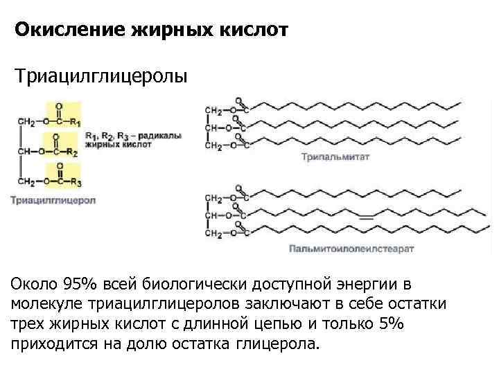 Нарушение окисления жирных кислот. Энергетика окисления жирных кислот. Окисление триацилглицеролов. Где происходит окисление жирных кислот.