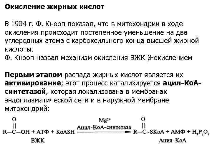 Окисление жирных кислот В 1904 г. Ф. Кнооп показал, что в митохондрии в ходе